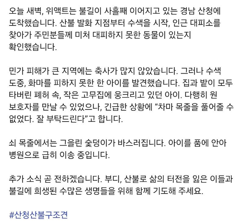 클릭하시면 원본 이미지를 보실 수 있습니다.