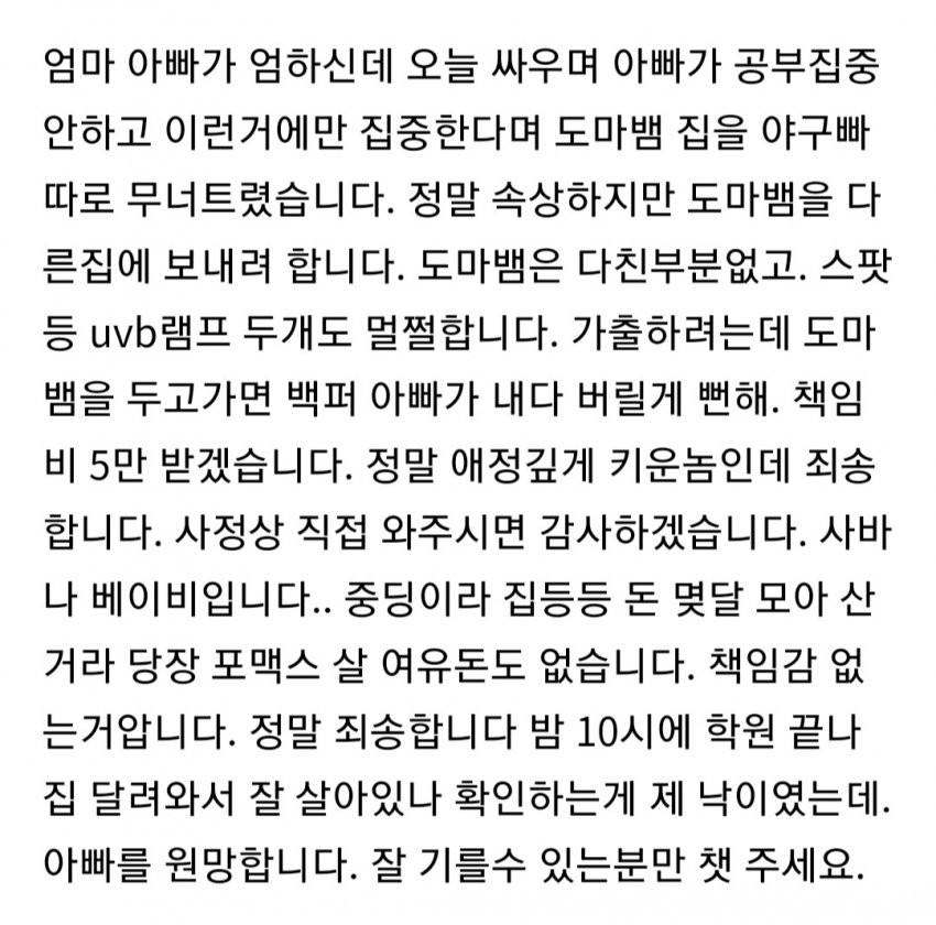 클릭하시면 원본 이미지를 보실 수 있습니다.