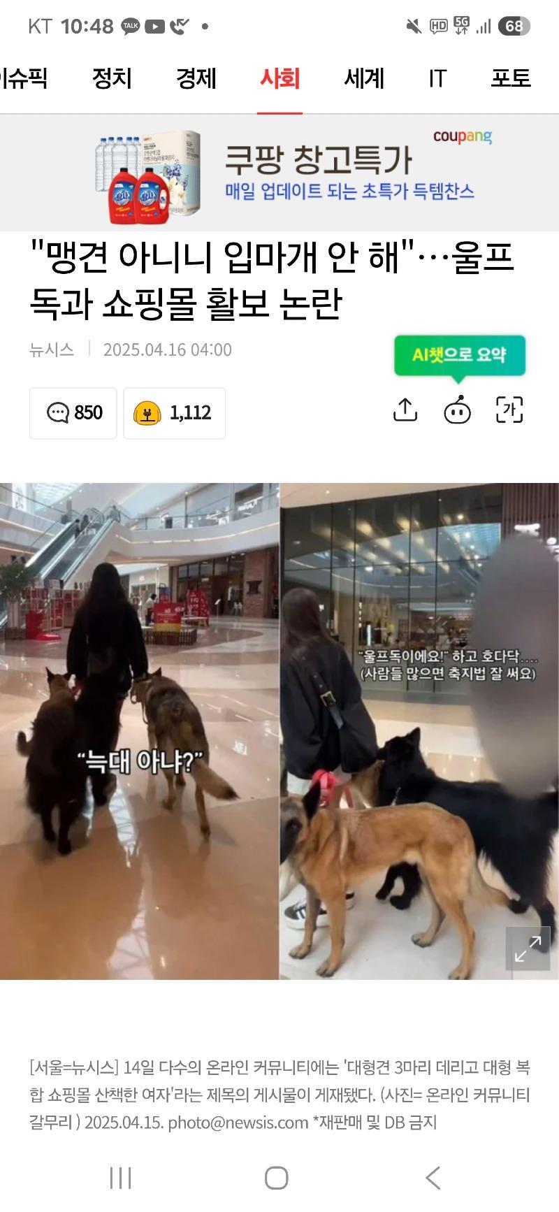 클릭하시면 원본 이미지를 보실 수 있습니다.