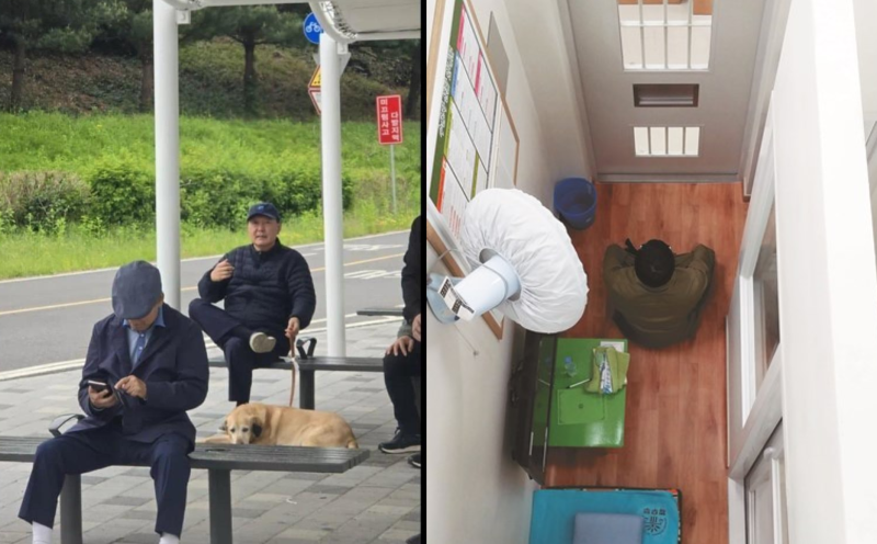클릭하시면 원본 이미지를 보실 수 있습니다.