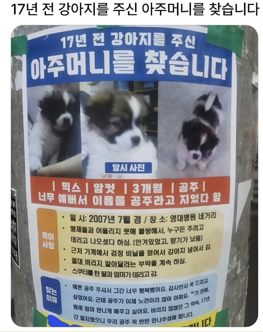클릭하시면 원본 이미지를 보실 수 있습니다.