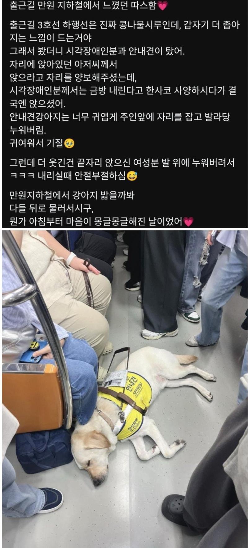 클릭하시면 원본 이미지를 보실 수 있습니다.