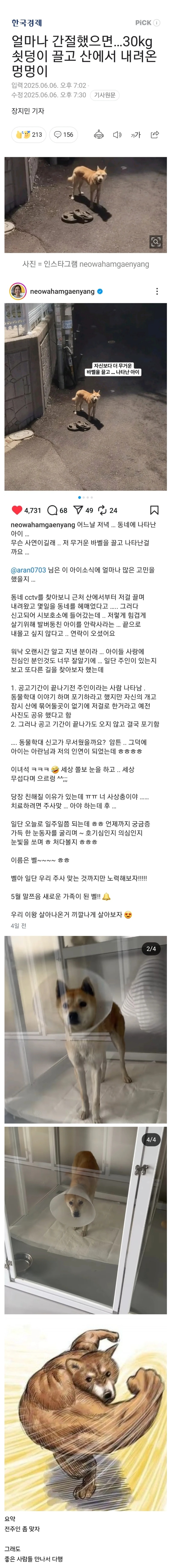 클릭하시면 원본 이미지를 보실 수 있습니다.