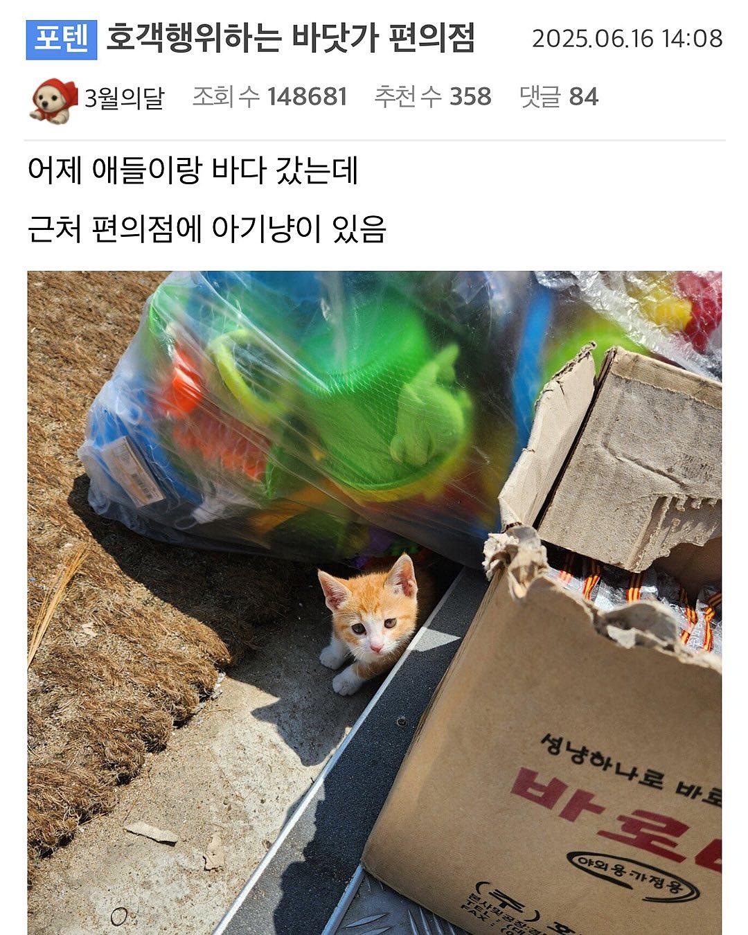 클릭하시면 원본 이미지를 보실 수 있습니다.