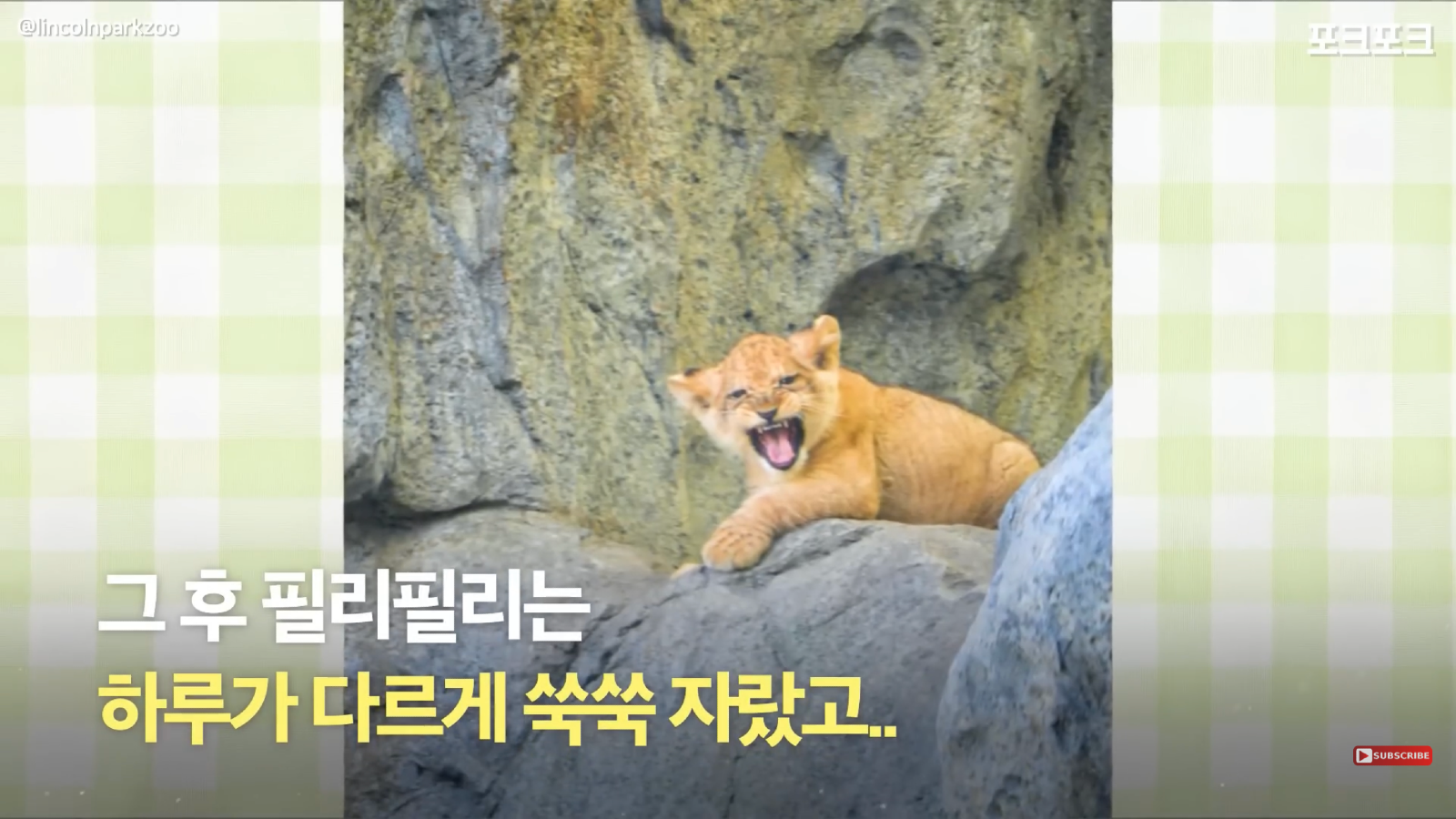 클릭하시면 원본 이미지를 보실 수 있습니다.