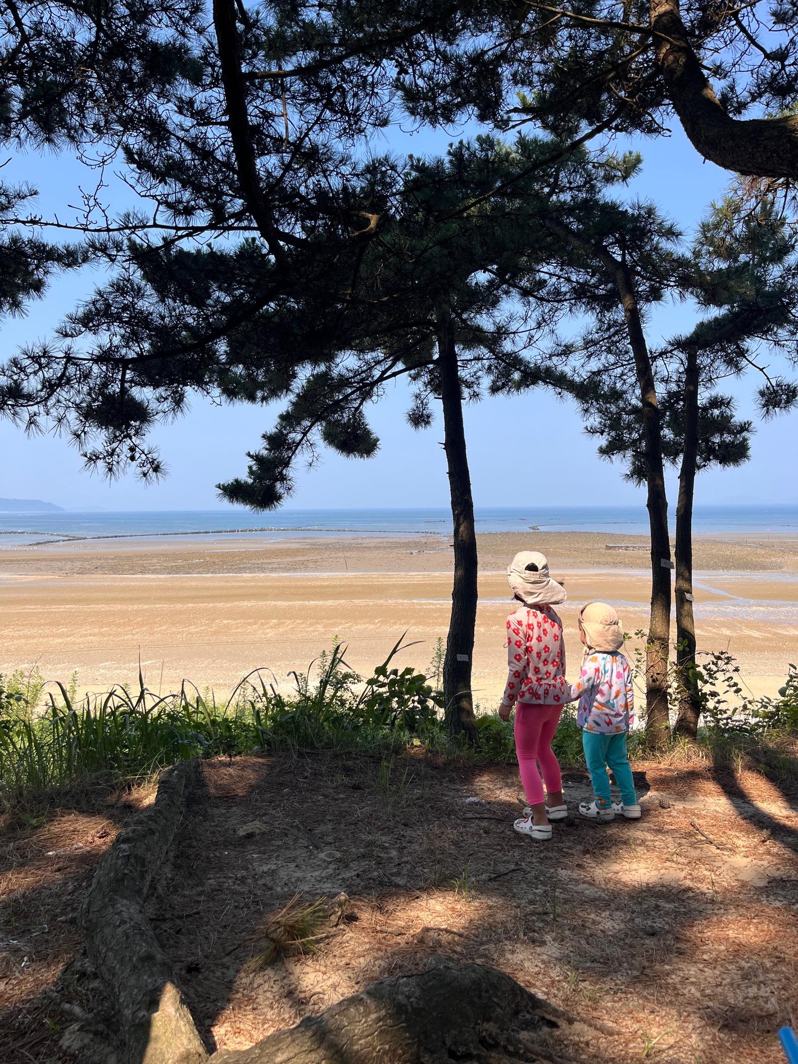 클릭하시면 원본 이미지를 보실 수 있습니다.