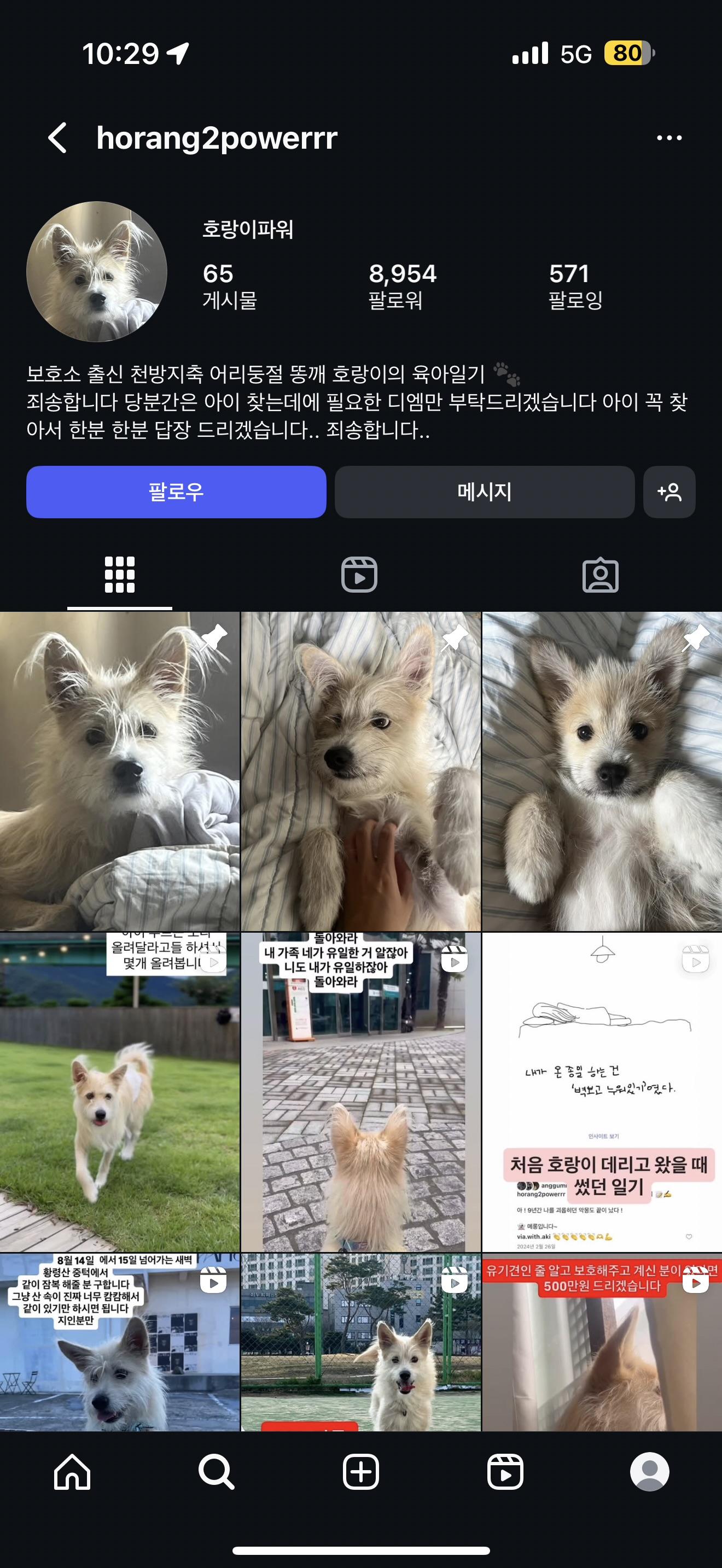 클릭하시면 원본 이미지를 보실 수 있습니다.